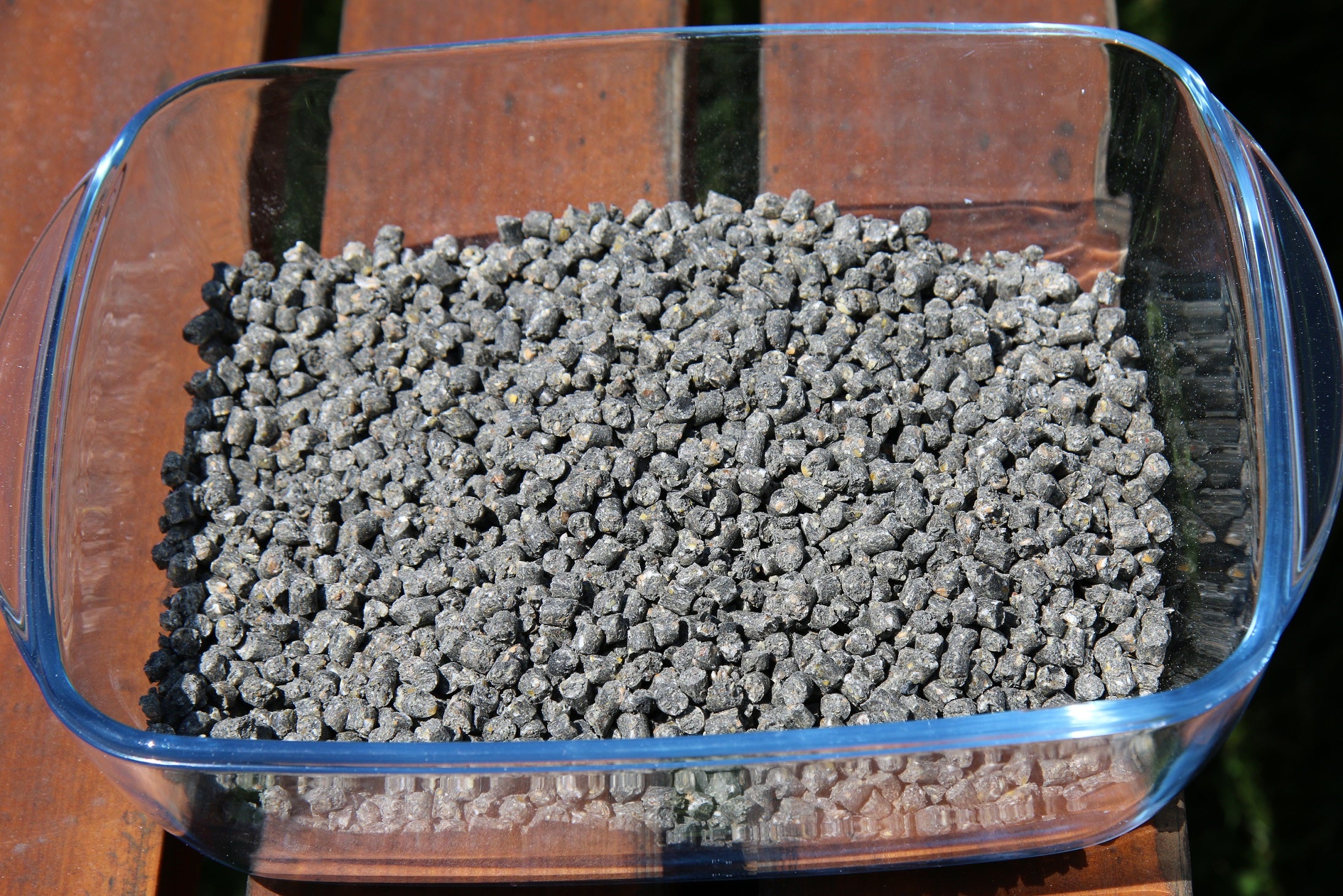 Charley | Legekorn für Hühner (konventionell)